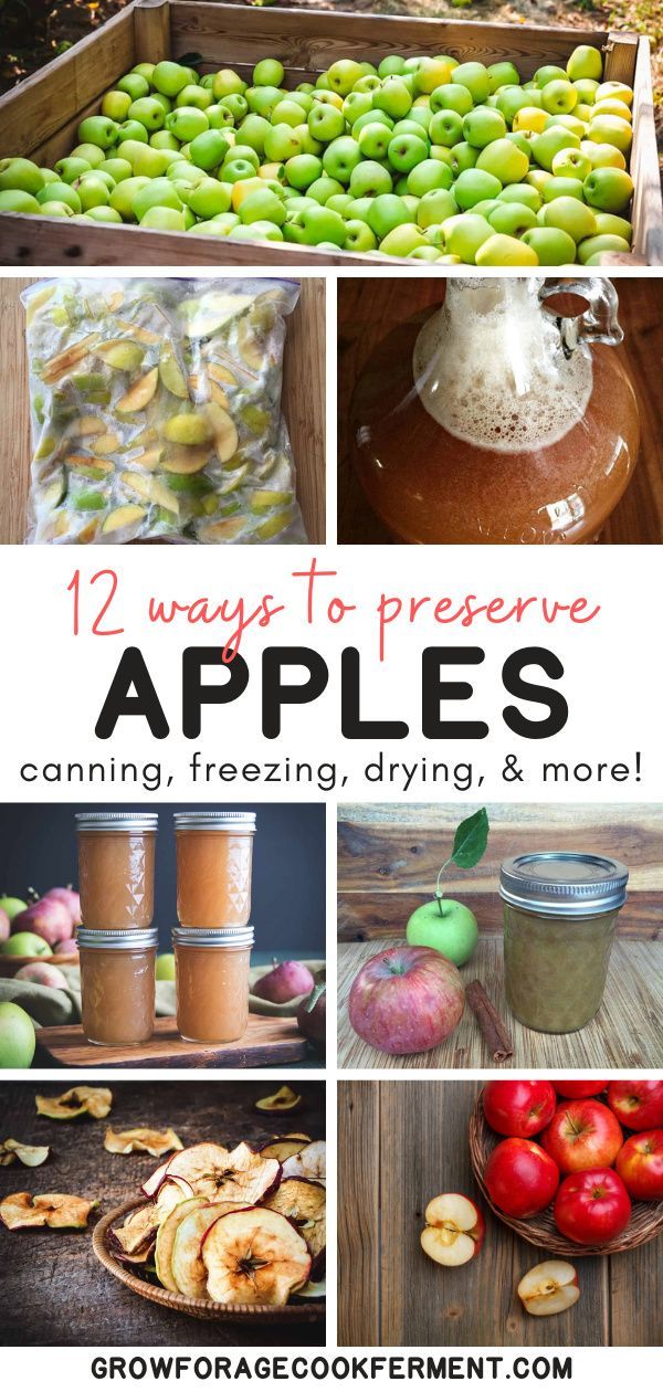 When it's fall and you have an apple tree, you may be wondering how to preserve apples for the rest of the year. Canning and freezing are popular, but there are so many ways you can preserve apples including apple butter, jam, cider and so much more! Learn about 12 methods for preserving apples! Preserving Apples, Canning Apples, Canning Peaches, Canning Vegetables, Preserving Food, Apple Recipes For Canning, Canning Tips, Jam Recipes, Dehydrated Apples