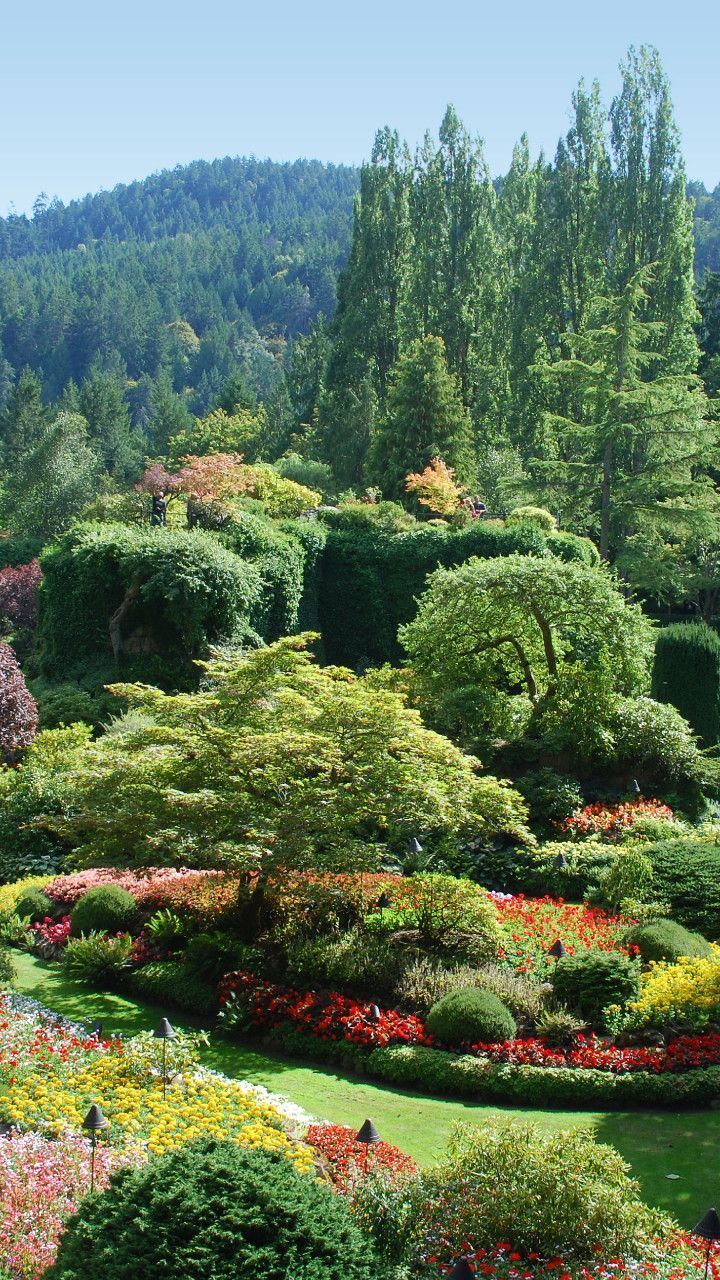 The Sunken Garden - Butchart Gardens, Victoria, British Columbia, Canada #butchartgardens The Sunken Garden - Butchart Gardens, Victoria, British Columbia, Canada #butchartgardens The Sunken Garden - Butchart Gardens, Victoria, British Columbia, Canada #butchartgardens The Sunken Garden - Butchart Gardens, Victoria, British Columbia, Canada #butchartgardens The Sunken Garden - Butchart Gardens, Victoria, British Columbia, Canada #butchartgardens The Sunken Garden - Butchart Gardens, Victoria, Br #butchartgardens