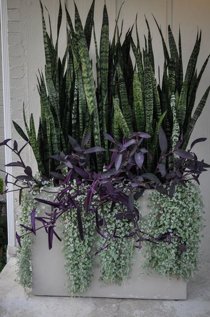 Building Container Combos- Garden Design Magazine by Nick McCullough #plantingsucculents
