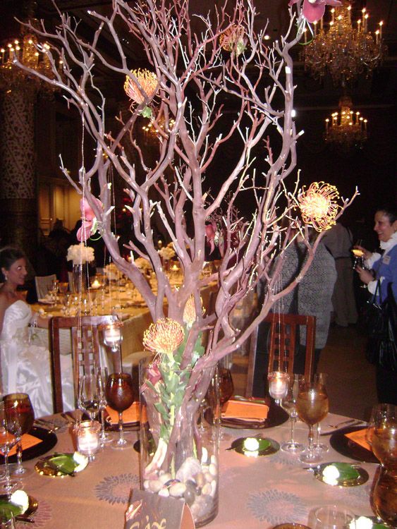Centerpieces Manzanita Tree Branches In Tall Clear Vase Filled Centerpieces Manzanita Tree Branches In Tall Clear Vase Filled With Rocks Hanging