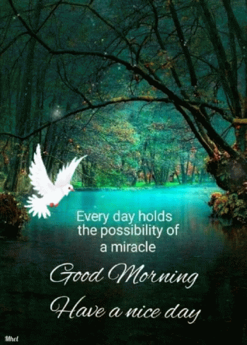 Have A Nice Day Christmas Cheer GIF - Have A Nice Day Christmas Cheer Morning - Discover & Share GIFs Good Morning Spiritual Quotes, Cute Good Morning Quotes, Good Day Quotes, Good Morning Love, Good Morning Messages, Good Morning Greetings, Good Morning Wishes, Positive Quotes, Good Morning Coffee Gif