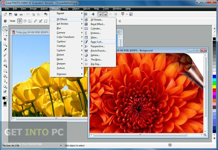 corel draw suite 12