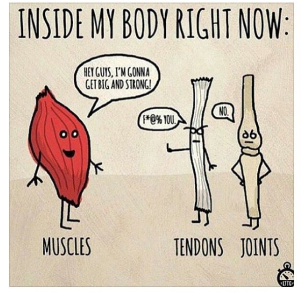 Gym Humor Gym Humor