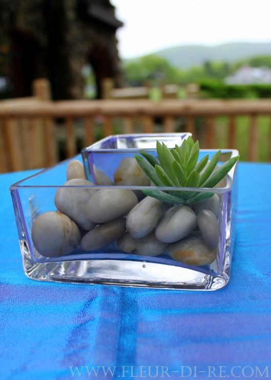 Vase Rocks Centerpiece : Stout glass vase rocks and succulent centerpiece stems