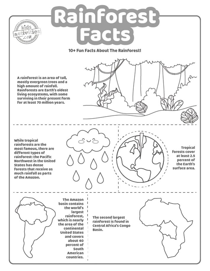 10+ Rainforest Facts for Kids + Printable Worksheets