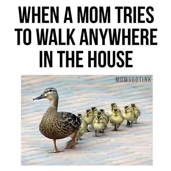 Humour Parent, Mommy Humor, Child Humor, Mama Memes, Memes Spongebob, Sms Humor, Sarcasm Humor, Funny Quotes, Funny Memes