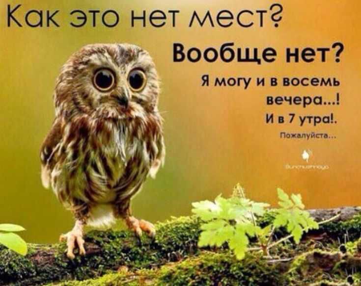 смешные картинки про коноплю смешные картинки про коноплю