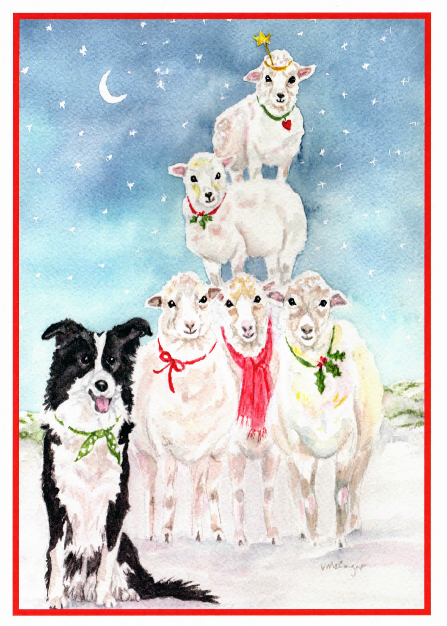 Border Collie Luxury Christmas Cards Snow Time Fun Pk of 10 Farm Dog Xmas Cards
