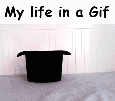 ifunny gifs ifunny memes for more funny gifs visit www