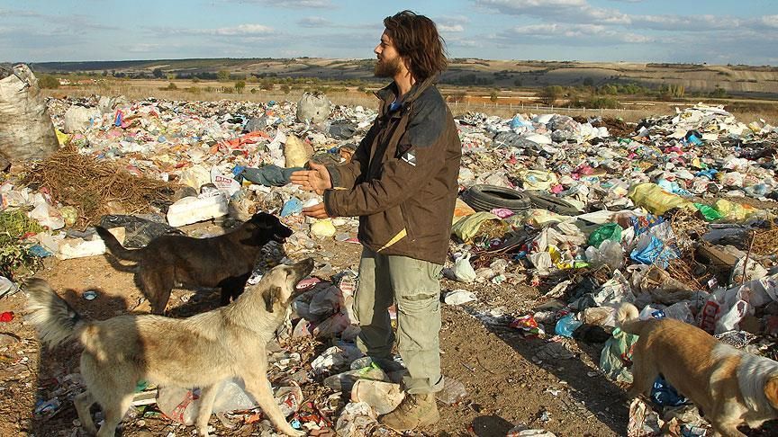 köpek bakıcısı iş ilanları