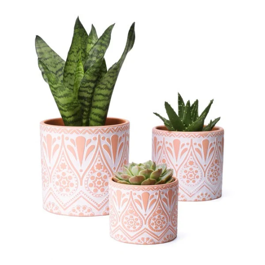 These ceramic flowerpots with mandala pattern is unique and elegant, which is different from other terracotta pots plain design. The gorgeous and modern color scheme will blend in perfectly anywhere in your home and every visitor will praise its uniqueness and artistic color. Drainage Hole & Rubber Plug: See healthy root growth for your thriving indoor houseplants, each ceramic flowerpot comes with a drainage hole and rubber plug, for easy water management and protecting your home surface. Three Houseplants Indoor, Indoor Planters, Planter Pots, Modern Color Schemes, Modern Colors, Mandala Pattern, Mandala Design, Succulent Pots, Planting Succulents