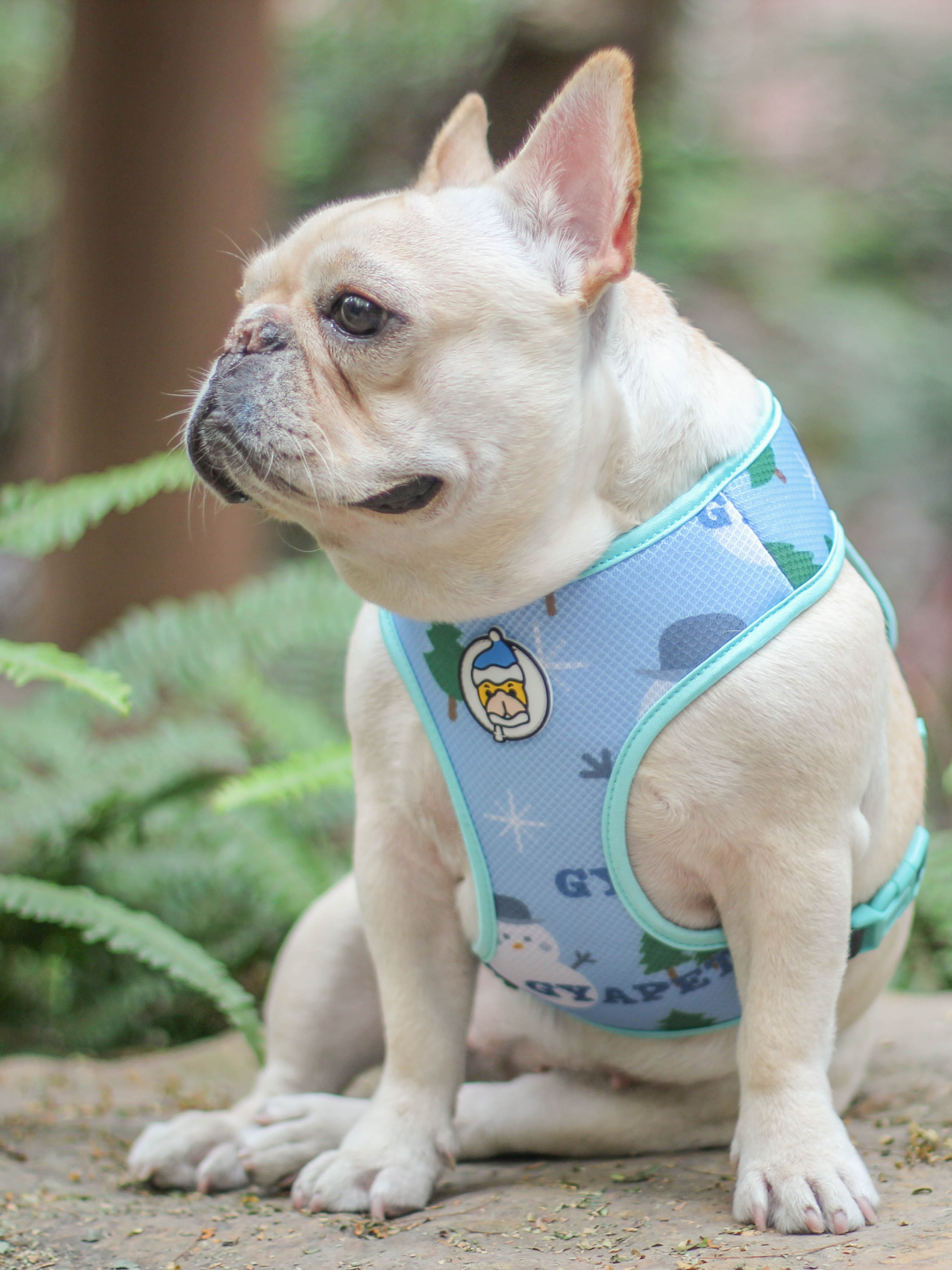 Cute Dog Harness Vest Snowman Cute Dog Harness Dog Harness