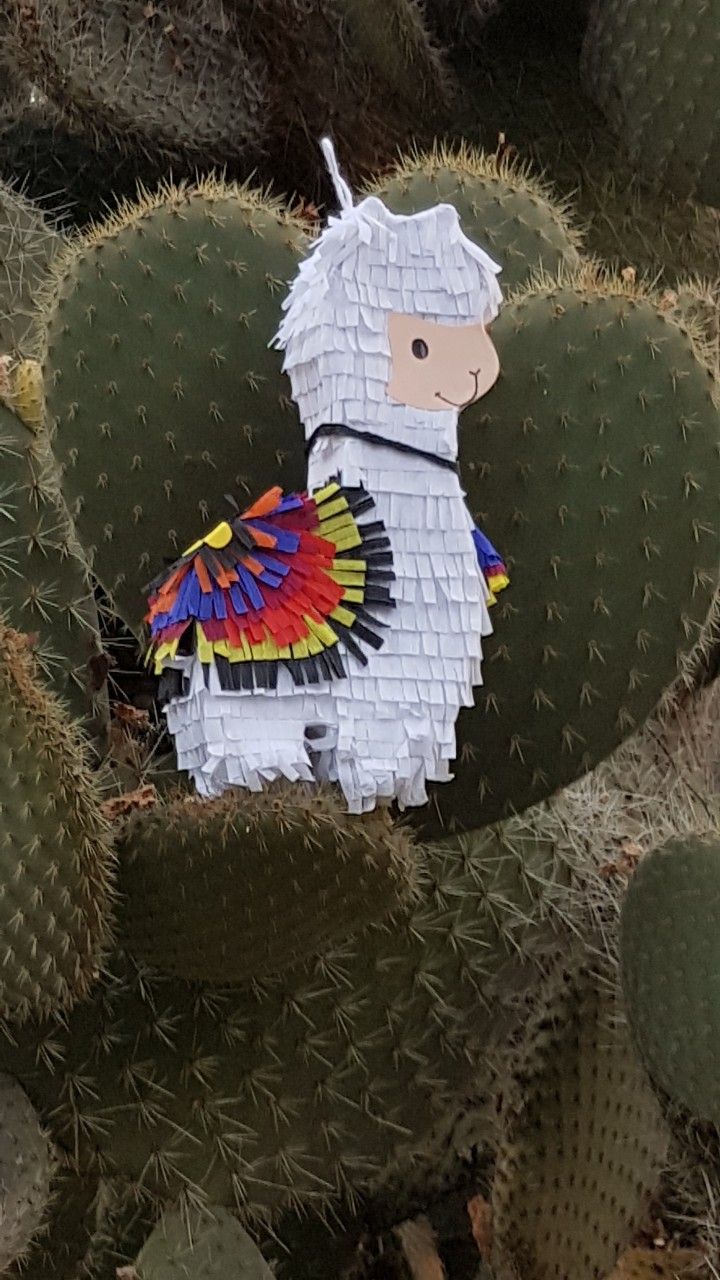 quot i 39 m a llama again quot mini llama piñata piñatas invitation ideas for party