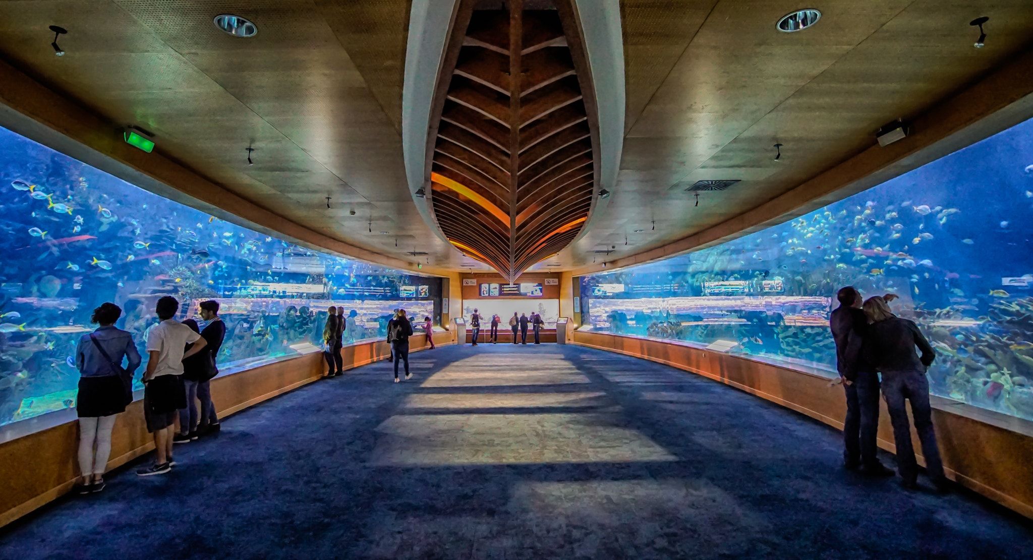 Inside Oceanographic | Valencia, Spain - L'Oceanogràfic (El Oceanográfico, The Oceanographic) is an oceanarium situated in the east of the city of Valencia, Spain, where different marine habitats are represented. It was designed by the architect Félix Candela and the structural engineers Alberto Domingo and Carlos Lázaro. It is integrated inside the cultural complex known as the Ciutat de les Arts i de les Ciències (City of Arts and Sciences). It was opened on 14 February 2003. ©beunephotograph Aquarium Architecture, Valencia Spain, Lazaro, Structural Engineering, Les Arts, Habitats, Complex, Sydney Opera House, Marine