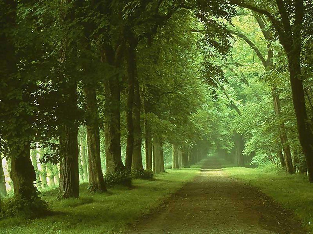 download kerala nature wallpaper hd gallery images wallpapers
