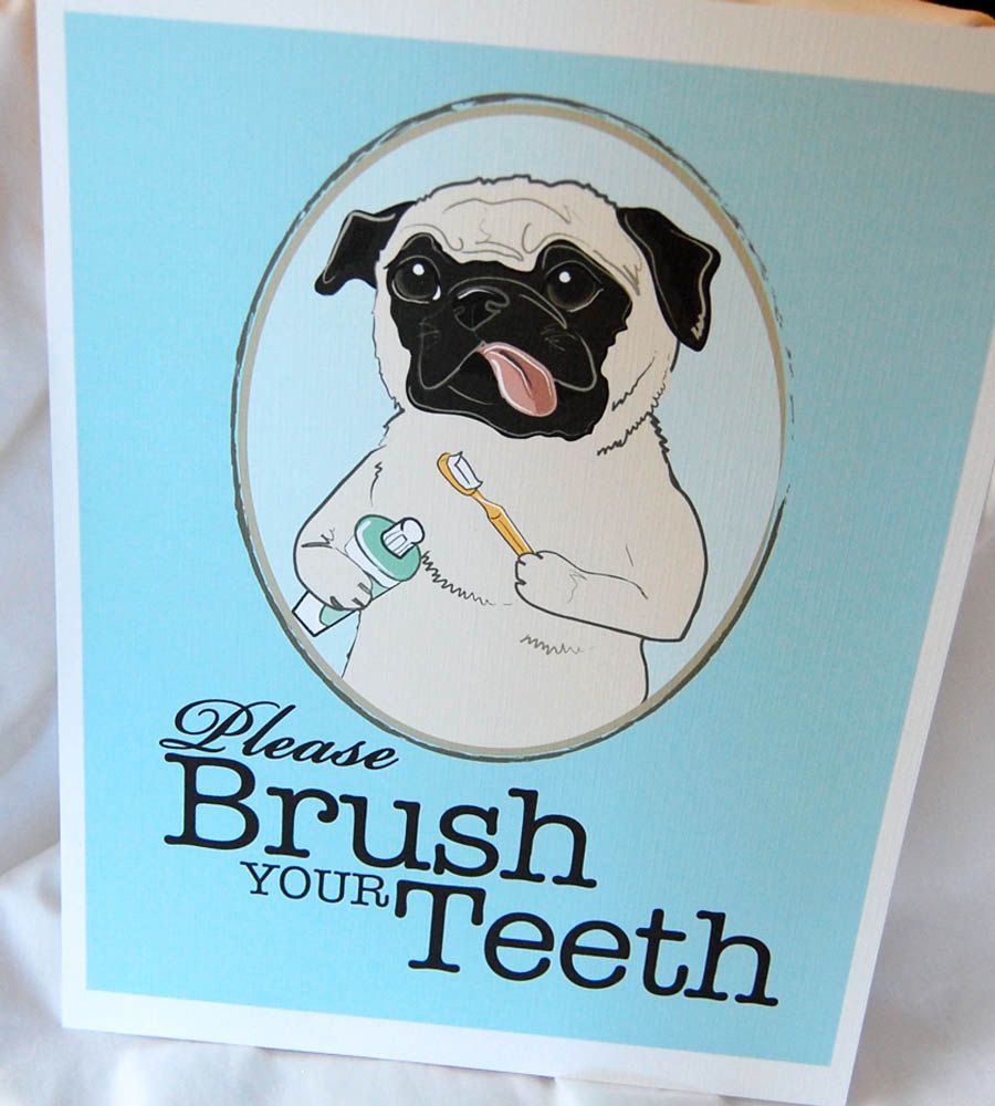 Brush Your Teeth Pug 8x10 Eco Friendly Print Pugs Not Drugs