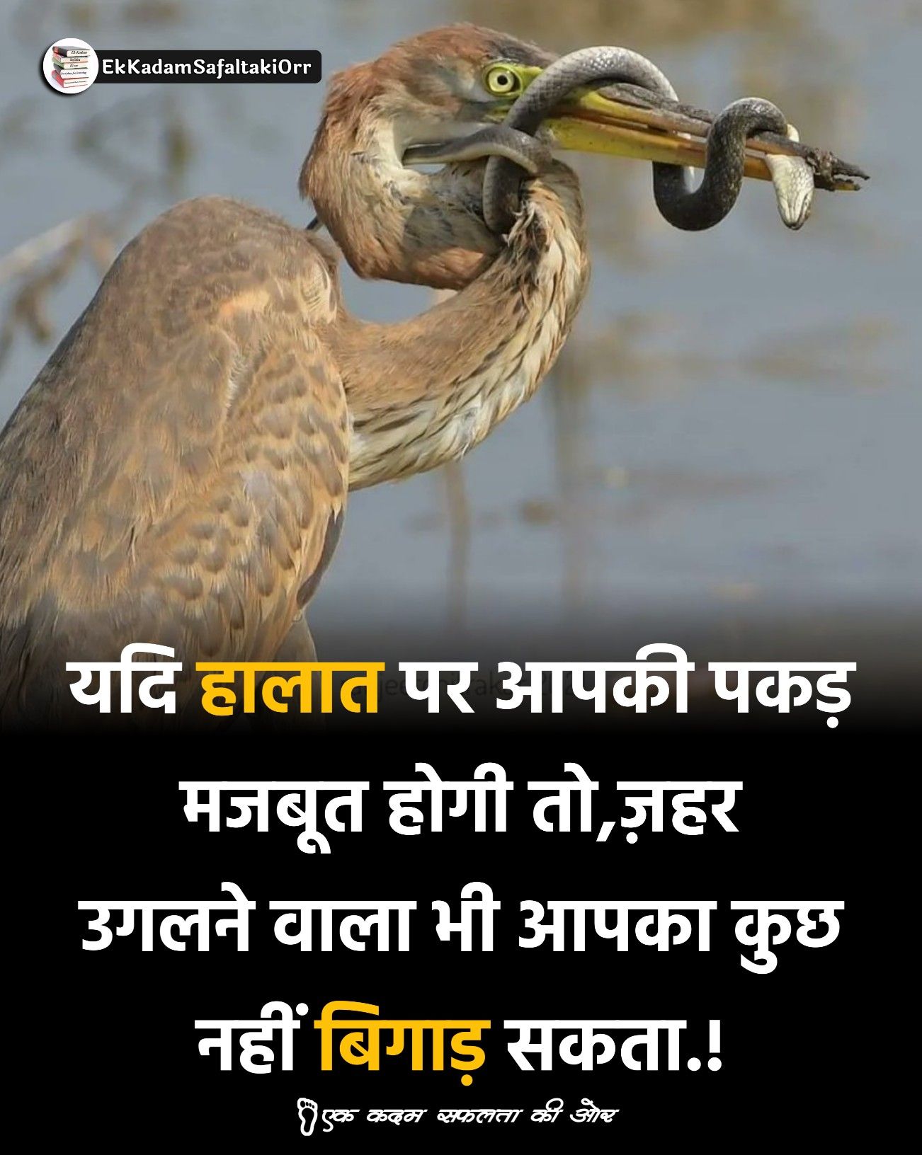 Hindi Quote | shayari | whatsapp status | हिंदी सुविचार | शायरी