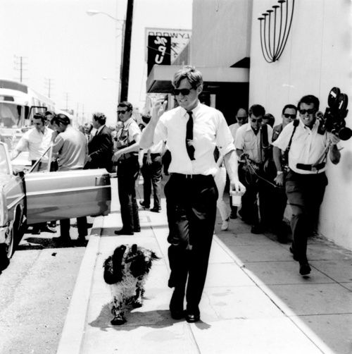 Robert Francis /"Bobby/" Kennedy walking with his dog 8x10 photo