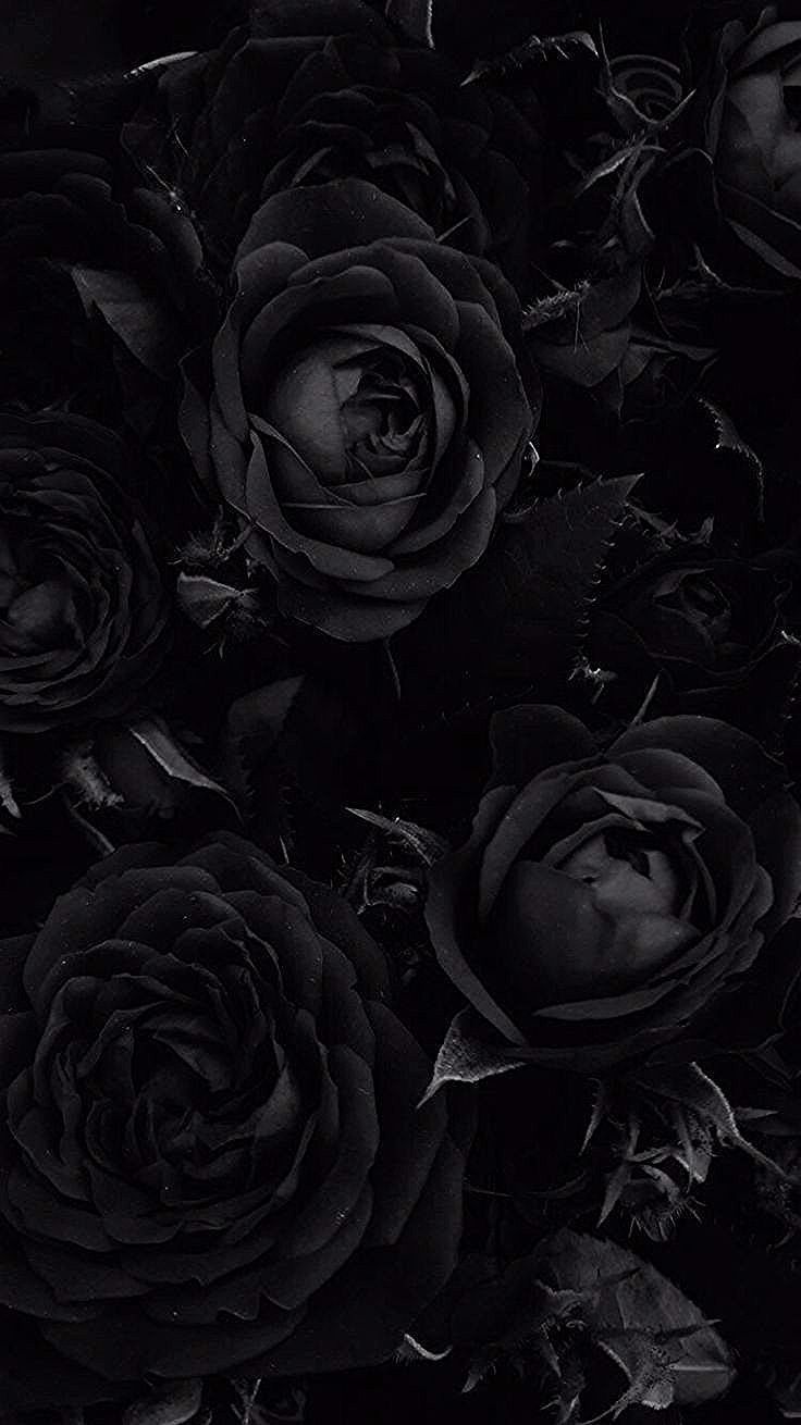 photo Dark Rose Aesthetic Wallpaper pinterest