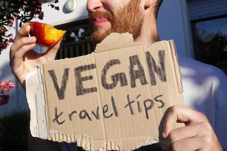 Vegan Travel Tips From On The Road Travellers Vegetarian Recipes Easy vegan-travel-tips-from-on-the-road-travellers-vegetarian-recipes-easy