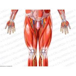 Houston weight loss and lipo picture 4