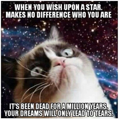 grump cat getting all carl sagan on you! billions! funny c543aa00d6ebda70bd29844462583d1d grump cat getting all carl sagan on you! billions! funny