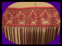 Pin En Mantoncillo Crochet