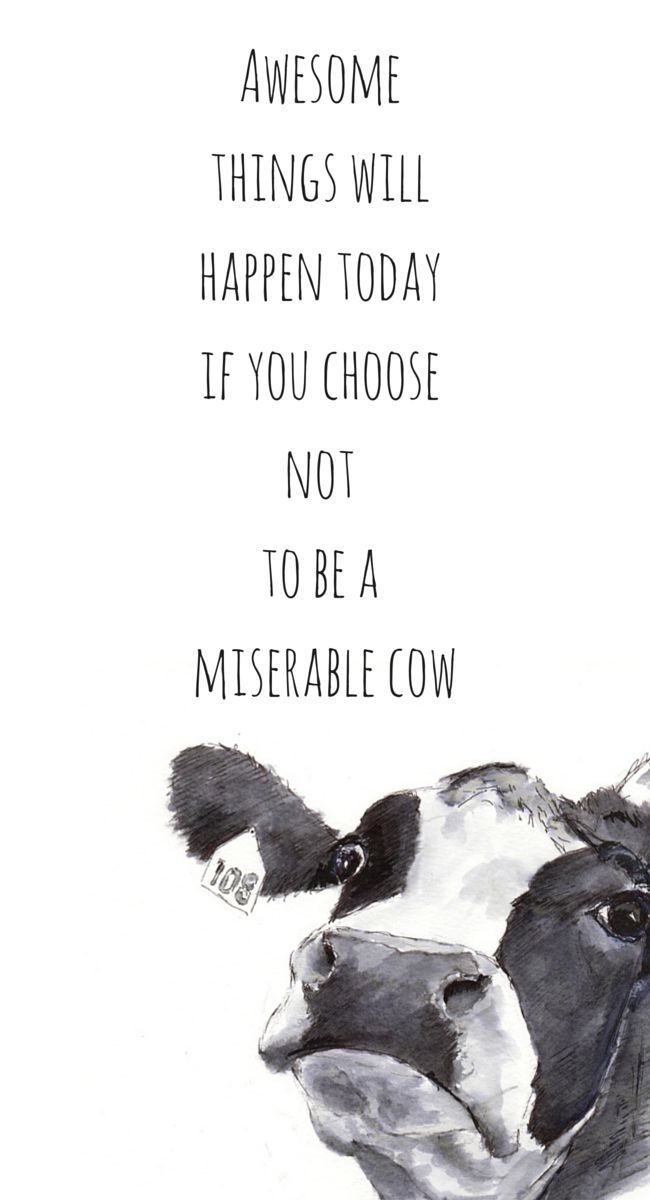 pin by jaime r on musings iphone wallpaper wallpaper quotes