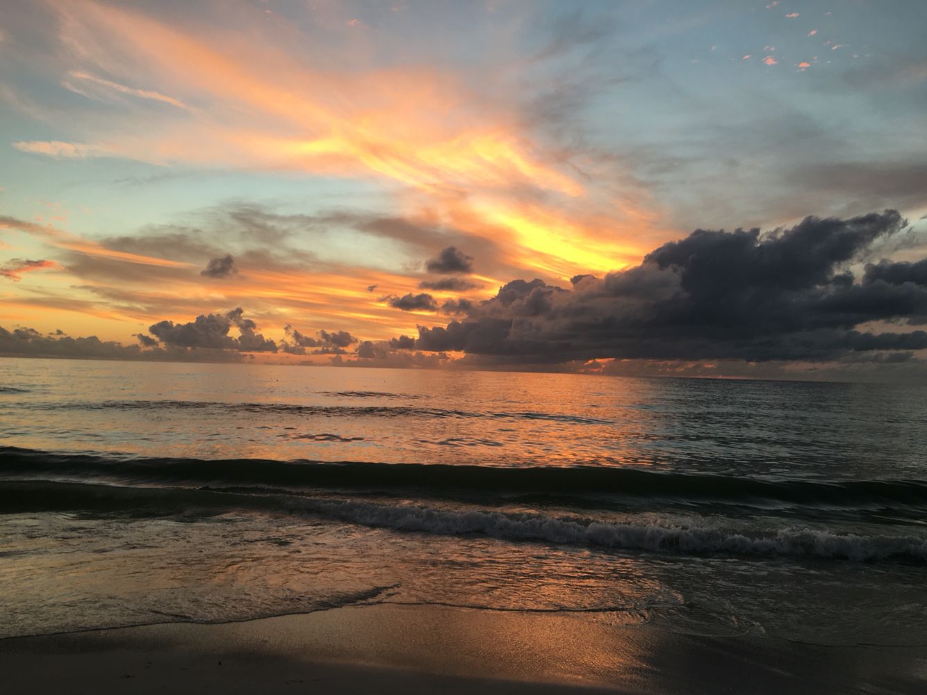 sunset cruise anna maria island