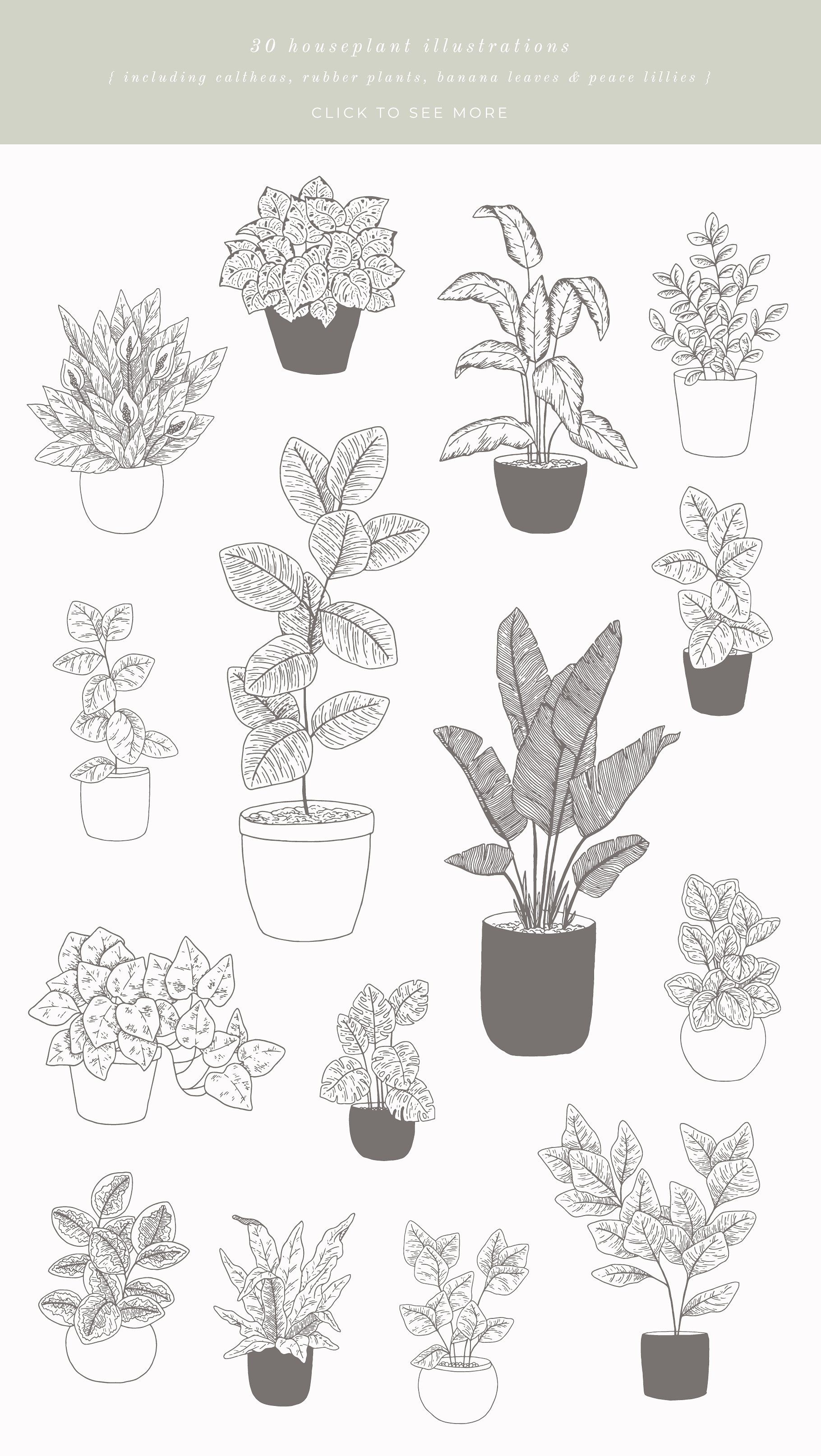 Precious Tips For Outdoor Gardens In 2020 Plants House Plant