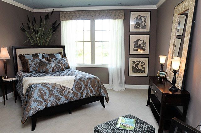 Chocolate Brown And Blue Pinterest Giant Mirror Plants Cad Corner Bed