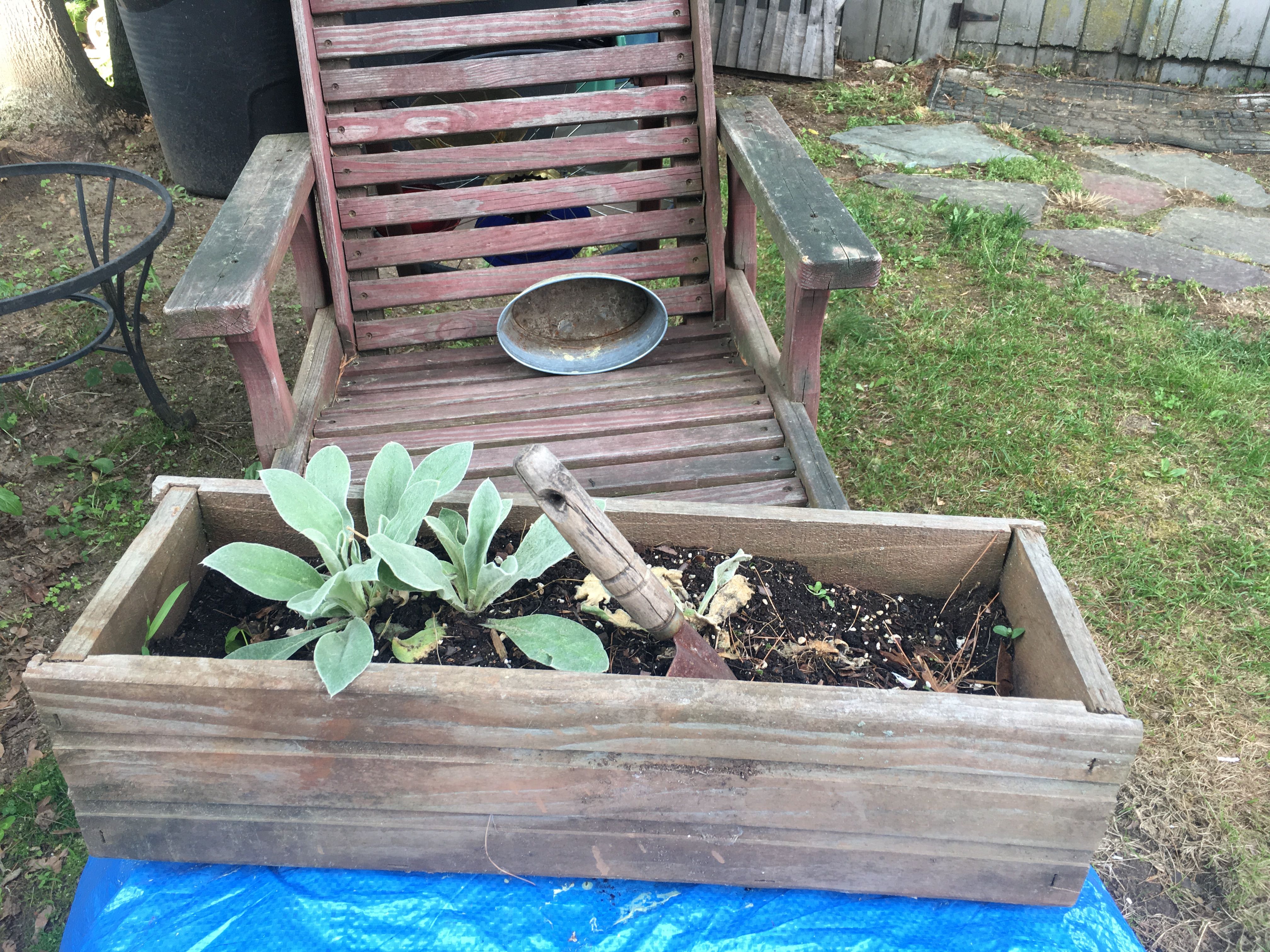 Gardening Gardening