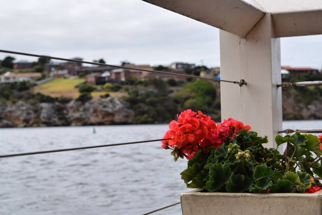 dating Warrnambool