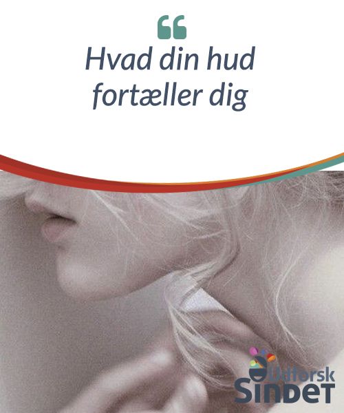 hvad er hud hvad er hud