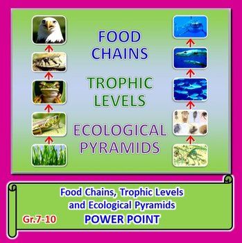 food chains powerpoint editable my ecology pinterest food chains trophic levels and ecological footprints powerpoint this fully editable powerpoint topics