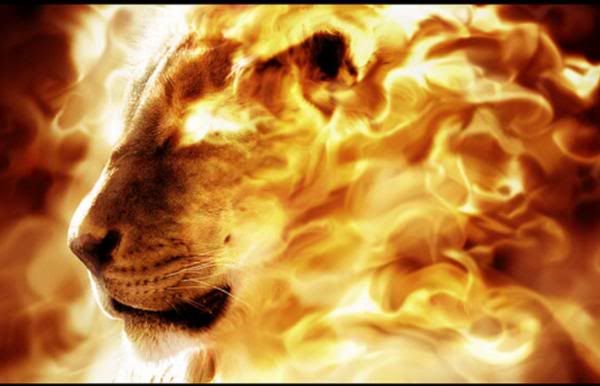 For Our God Is A Consuming Fire Fire Lion Lion Of Judah Tribe Of Judah