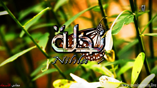 معنى اسم نحلة وصفات حاملة هذا الاسم Nihla Enamel Pins Accessories Enamel