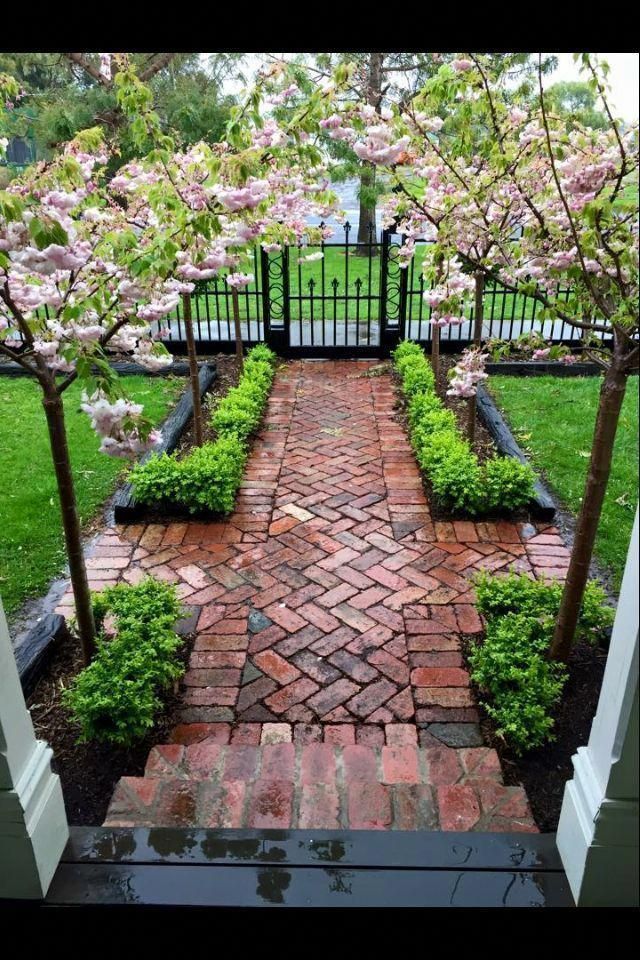 - - #cottagegardenideas #diygardenvegetable #diysmallgardenideas