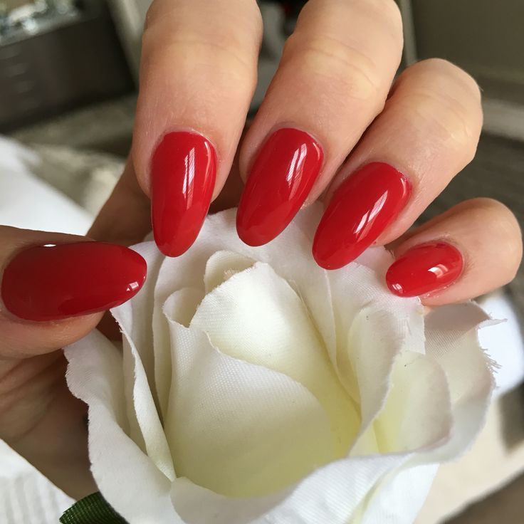 Red Acrylic Gel Shellac Chic Almond Shape Nails Simple Red Acrylic Gel Shellac Chic Almond Shape Nails Simple Clic Style