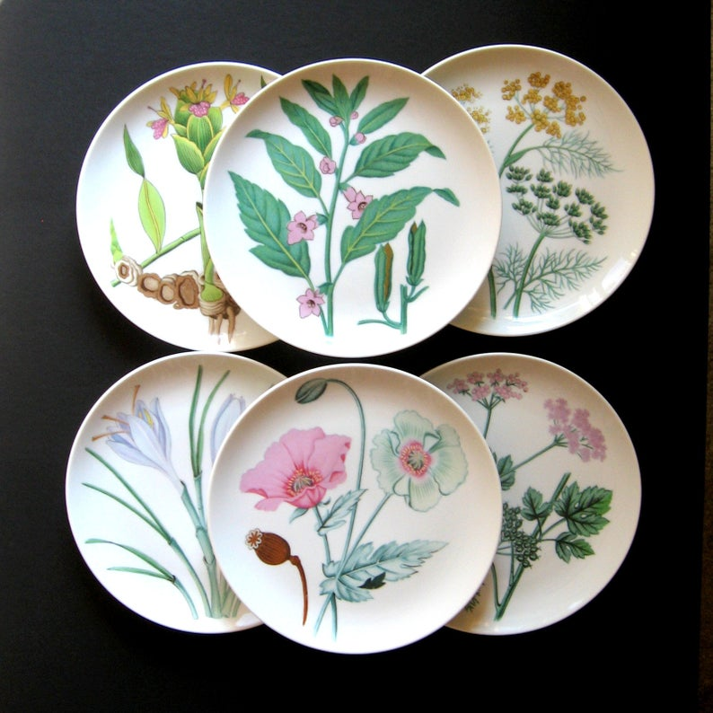 Beautiful Vintage Botanical Herb Floral Plates Set beautiful-vintage-botanical-herb-floral-plates-set