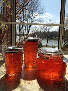 My Most Requested Recipes: Hot Pepper Jelly Jam Recipes Homemade, Canning Recipes, Easy Homemade, Homemade Jelly, Pot Recipes, Pickling Recipes, Healthy Homemade, Lunch Recipes, Yummy Recipes