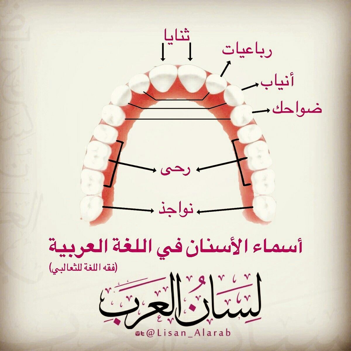 منوعات متفرقات الكويت Motafari9atدوتcom اخبار رياضة تكنولوجيا فيسبوك برامج اندرويد مصر Live Lokai Bracelet Lokai Bracelet Bracelets