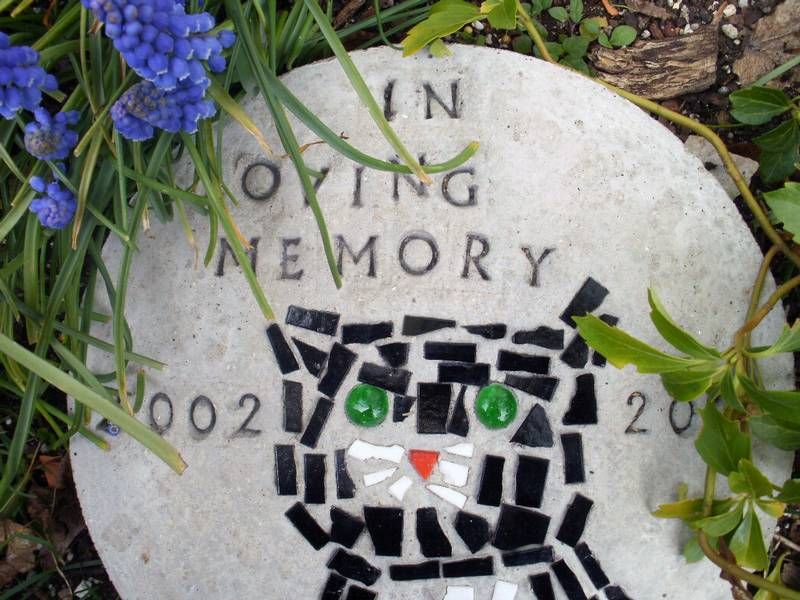 How To Make A Pet Memorial Stepping Stone Google Search How To Make A Pet Memorial Stepping Stone Google Search