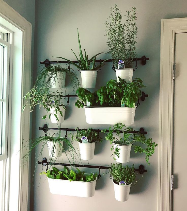 Indoor herb gardens on Instagram for the kitchen