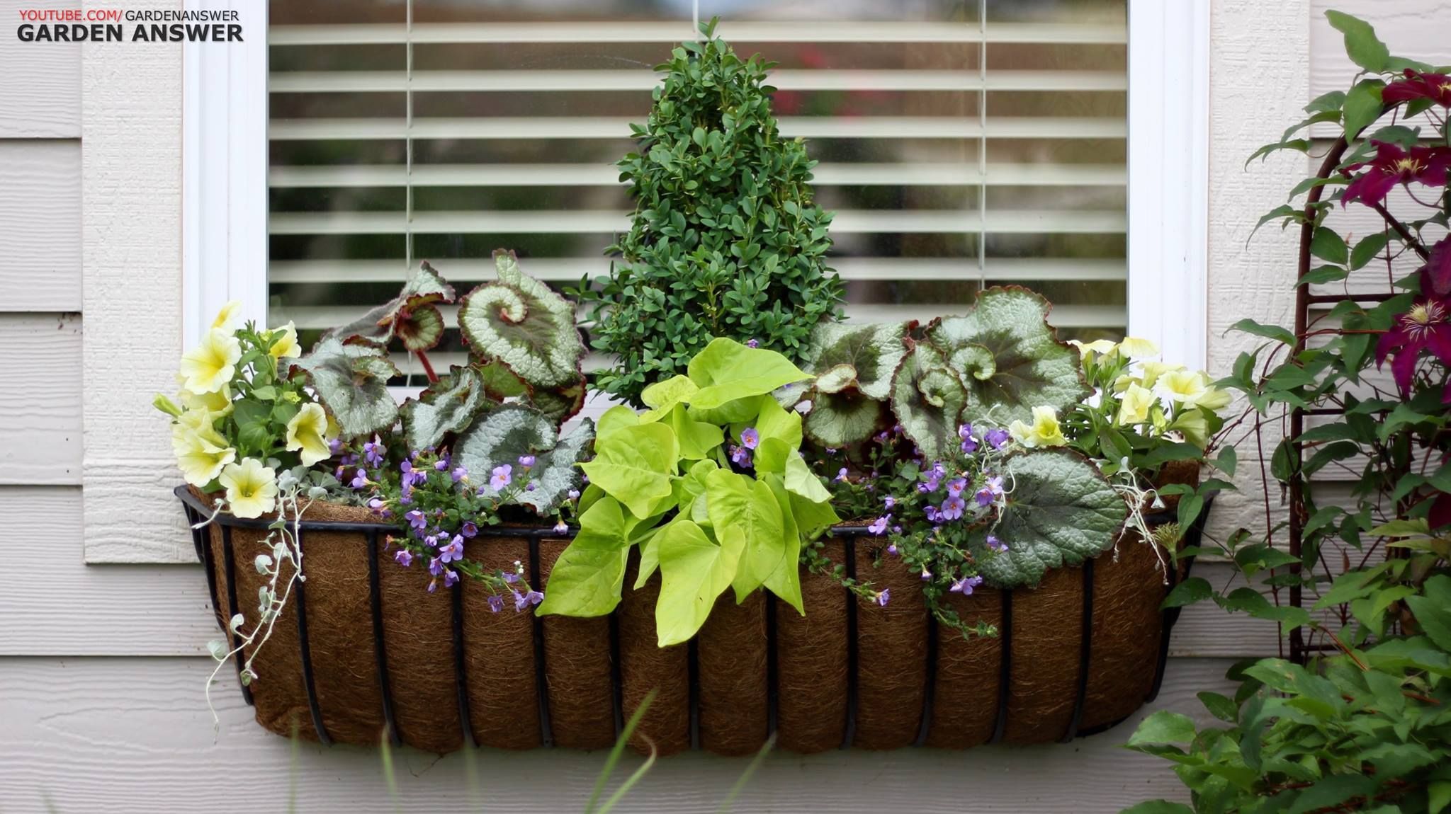 Window Basket Shade Planter Www Youtube Com Gardenanswer Www