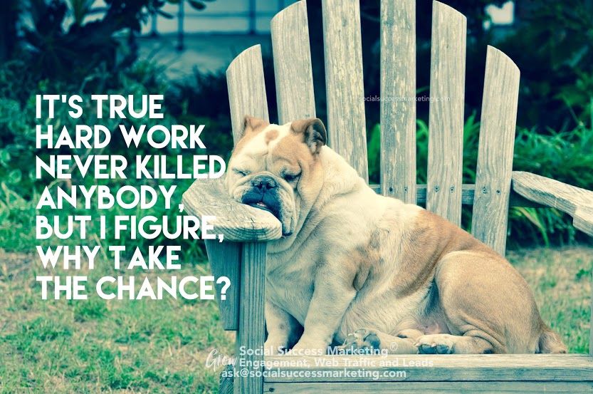 Bumper Sticker hard work never killed anyone but why take the chance free ship