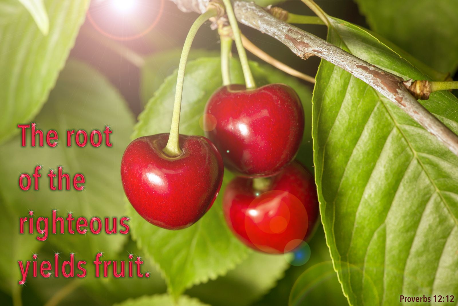 Proverbs about fruits and vegetables Proverbs about fruits and vegetables