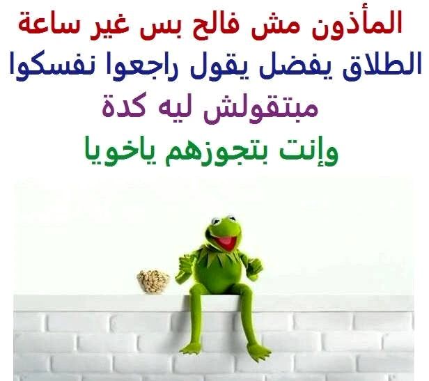 Desertrose Hehehehe Funny Reaction Pictures Funny Jok Funny Joke Quote