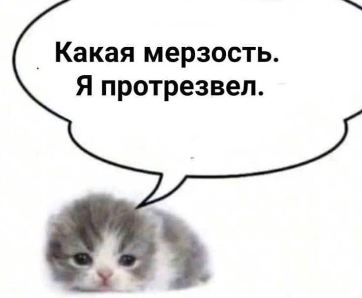 референсы.