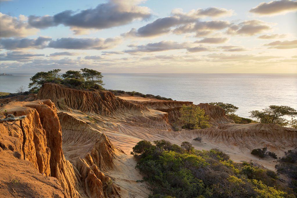 Torrey Pines State Reserve Greater San Go Region Pinterest Torrey Pines State Reserve